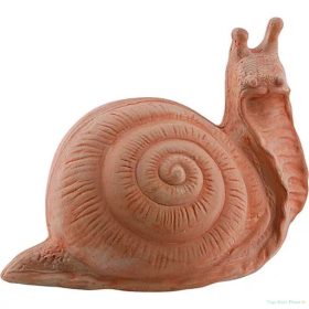 Csiga nagy 37cm