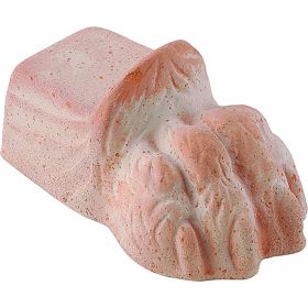 Láb Zampa di Leone 11cm