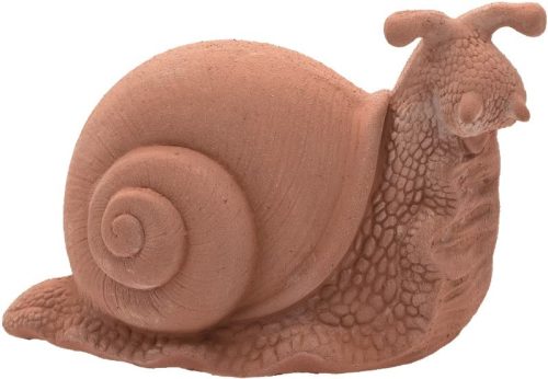 Csiga 23cm