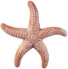 Tengeri csillag 17cm