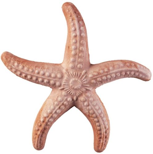 Tengeri csillag 17cm