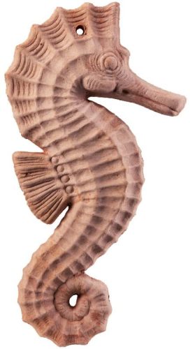 Csikóhal 18cm