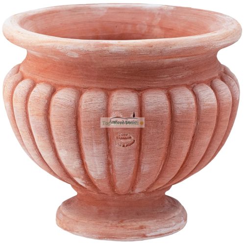 Coppa Etrusca 36cm