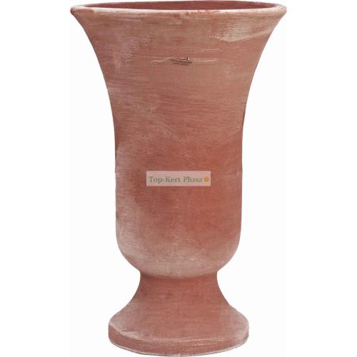Coppa Liscia 80cm