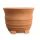 Mediterraneo-140 antik