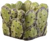 Virágláda kocka Cactus 17cm