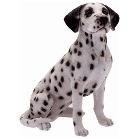 Dalmata