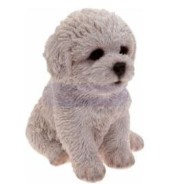 Bichon Frise