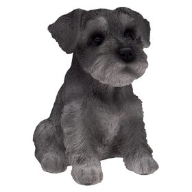 Schnauzer