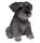Schnauzer