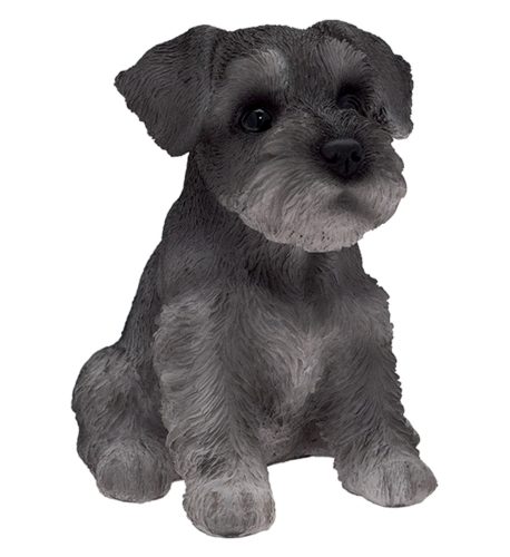 Schnauzer