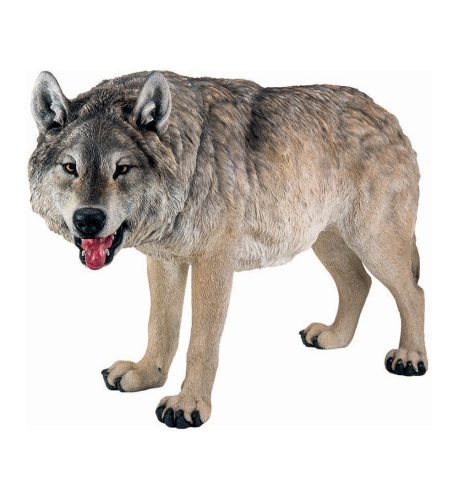 Farkas 122cm