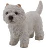 Westie
