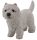 Westie