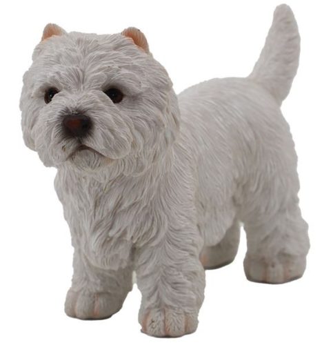 Westie