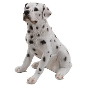 Dalmata