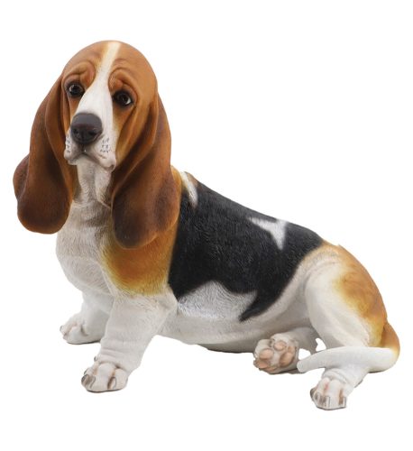 Basset