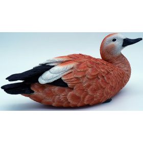 Kacsa Giglio 33cm