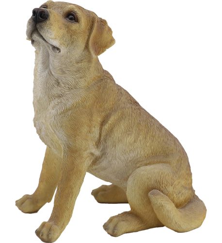 Labrador