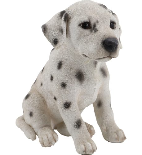 Dalmata