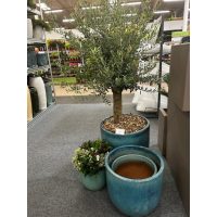 Növénytartó szettek