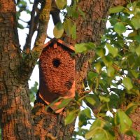 Madárházak, madáretetők